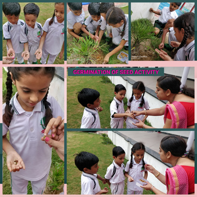 PRIMARY CLASS GERMINATION OF A SEED II